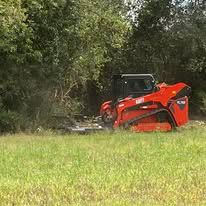 skid steer mulching under tree