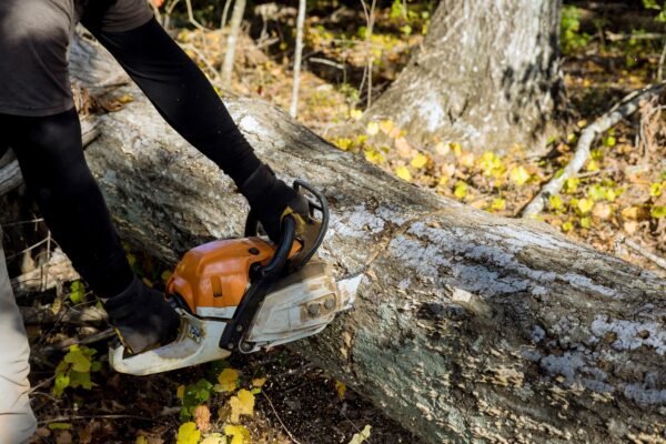 chainsaw storm cleanup on fallen tree Northeast Texas
