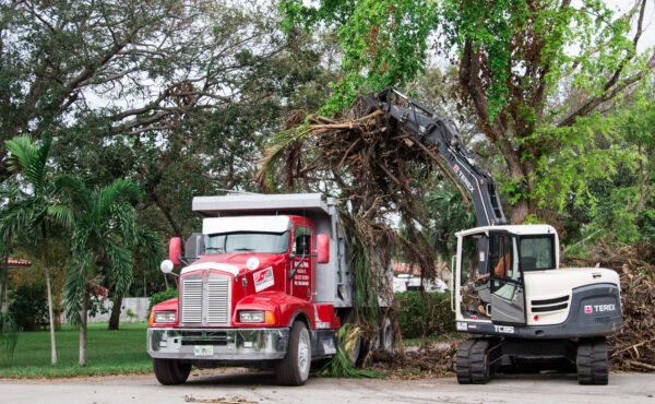 Excavator loading large amounts of storm debris into a dump truck after severe weather in Northeast Texas